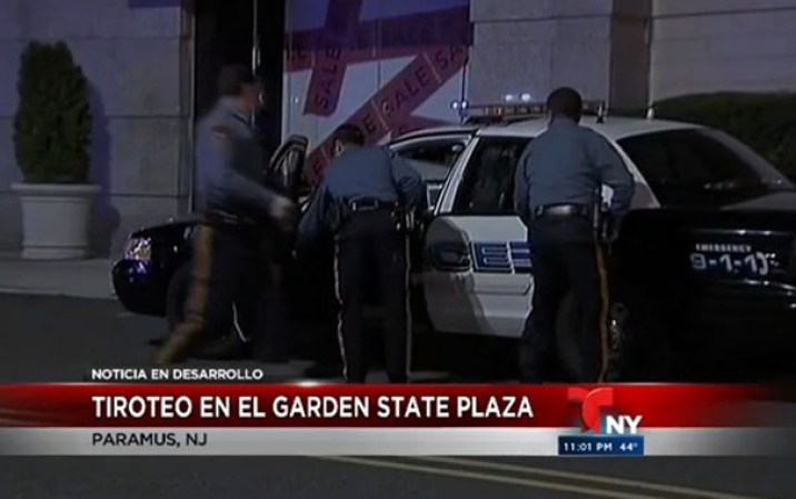 Por su parte, la ciberpágina local NorthJersey.com informó que varios testigos dijeron que un hombre vestido de ropa oscura y con un casco negro hizo hasta cinco disparos en el centro comercial, en el municipio de Paramus.
