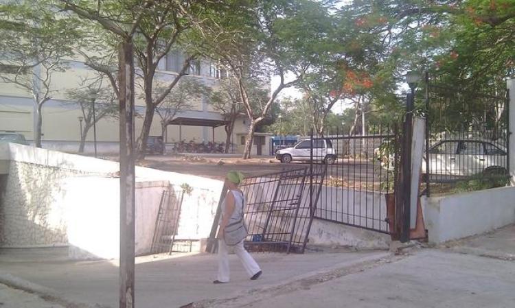 Vedado