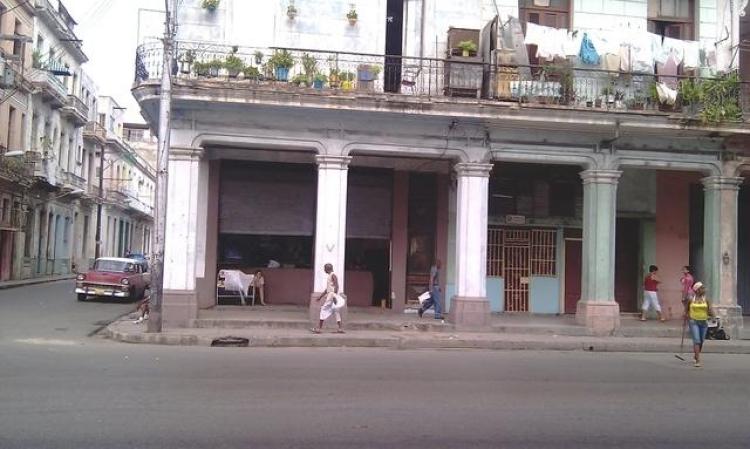 Calzada de Infanta