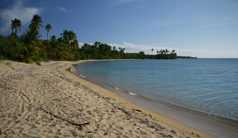 Green Beach: La playa más occidental de Vieques, larga y estrecha. Su nombre, al igual que el de “Red Beach” proviene de la Marina de los EE.UU., que utiliza los colores para identificar las playas cuando se realizan ejercicios de entrenamiento.