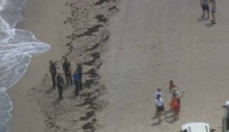 Más de una decena de balseros cubanos llegaron esta mañana a las playas de Hollywood y tocaron tierra sin ser interceptados por los guardacostas.