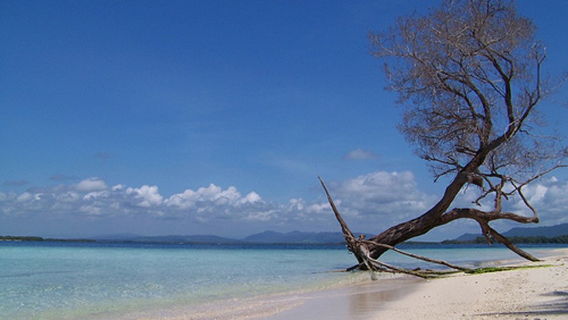 Parque Nacional Morrocoy, Venezuela.