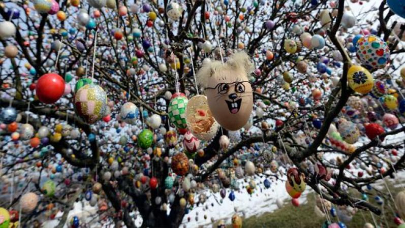 ALEMANIA- Una pareja en Saalfeld, Alemania, empezó a decorar un árbol de manzanas con huevos hechos por sus familiares.
