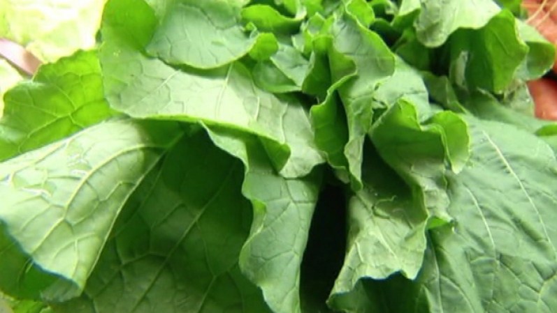 y las verduras verdes también son una fuente de calcio.