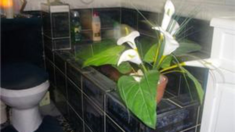 Apartamento: 2 cuartos, 1 baño.<br />Precio: $ 10,000. <br />Dirección: en Zona 6 Alamar, Habana del Este, Ciudad Habana.