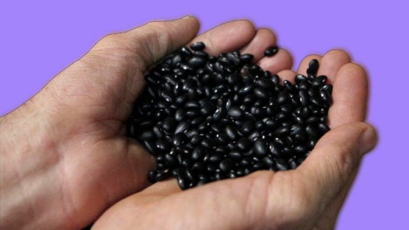 Los frijoles son una magnífica fuente de proteínas, fibra y hierro. Las proteínas ayudan a mantener la estabilidad de los niveles de azúcar e impide el regreso rápido del hambre.