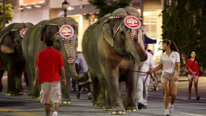 Ringling Brothers and Barnum & Bailey Circus presenta en Miami su famoso espectáculo en el cual se incluye por primera vez un grupo de acróbatas cubanos.