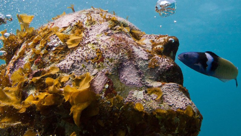Estas esculturas de Jason deCaires Taylor buscan restar el impacto de los humanos en los arrecifes de coral en Cancún