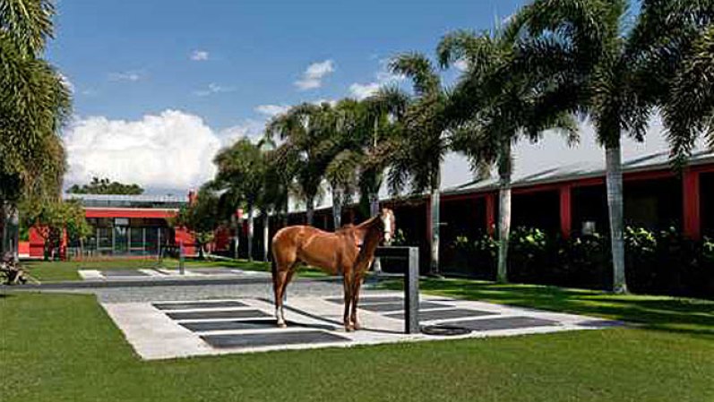 El actor Tommy Lee Jones puso en venta "San Saba Polo Ranch", una propiedad en Florida de más de 50 acres, con dos baños, cuatro habitaciones y establos. Jones le puso un precio de $26,75 millones.