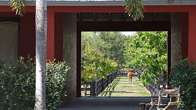 El actor Tommy Lee Jones puso en venta "San Saba Polo Ranch", una propiedad en Florida de más de 50 acres, con dos baños, cuatro habitaciones y establos. Jones le puso un precio de $26,75 millones.