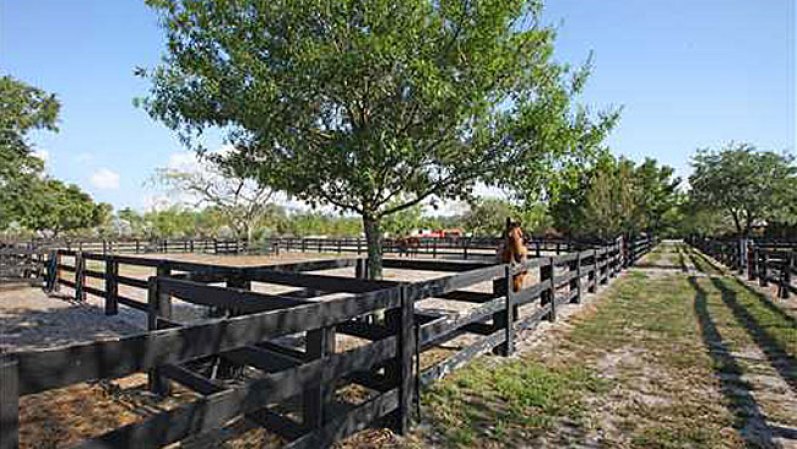 El actor Tommy Lee Jones puso en venta "San Saba Polo Ranch", una propiedad en Florida de más de 50 acres, con dos baños, cuatro habitaciones y establos. Jones le puso un precio de $26,75 millones.