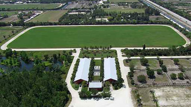El actor Tommy Lee Jones puso en venta "San Saba Polo Ranch", una propiedad en Florida de más de 50 acres, con dos baños, cuatro habitaciones y establos. Jones le puso un precio de $26,75 millones.