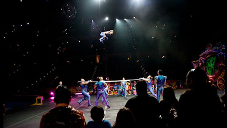 Grupo Scala está integrado por 8 acróbatas residentes en Cuba, graduados de la Escuela Nacional de Circo, quienes fueron contratados en Europa por un representante de Ringling.