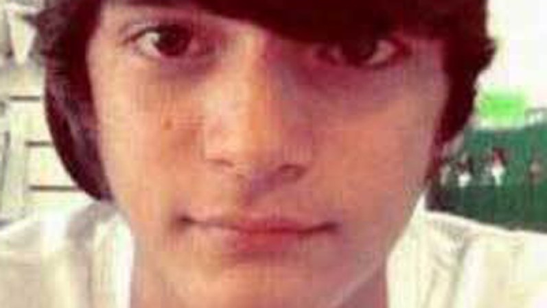 José Ernesto Méndez, de 17 años. El joven estudiante muere el 17 de febrero tras ser arrollado por un chofer oficialista que trató de escapar de la tranca originada por una manifestación en Carúpano, estado Sucre.
