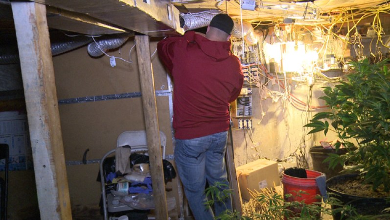 El descubrimiento fue hecho el pasado 23 de enero en la casa ubicada en 30121 Southwest 147th Court,