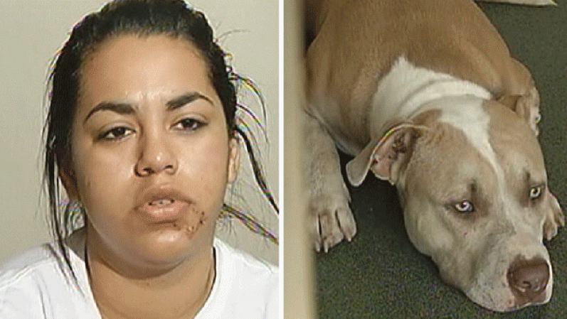 10 DE SEPTIEMBRE, 2012: Una joven de Hialeah se recupera en el hospital después de ser atacada por un perro que la mordió múltiples veces. <br /> Mira aquí las imágenes y lee los detalles de esta noticia..<br />