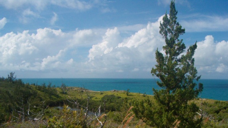 El archipiélago de las Bermudas es un gran destino en la temporada otoñal, cuando las multitudes de verano ya se han ido a sus casas y el clima se mantiene cálido y soleado.