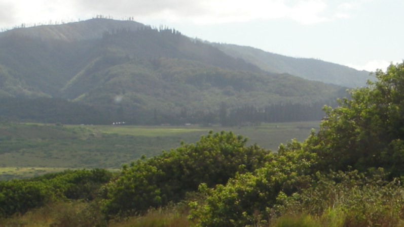 Por lo general, no hay días con mal clima en Hawái, así que aprovecha el otoño para visitar Lanai, una de las islas hawaianas.