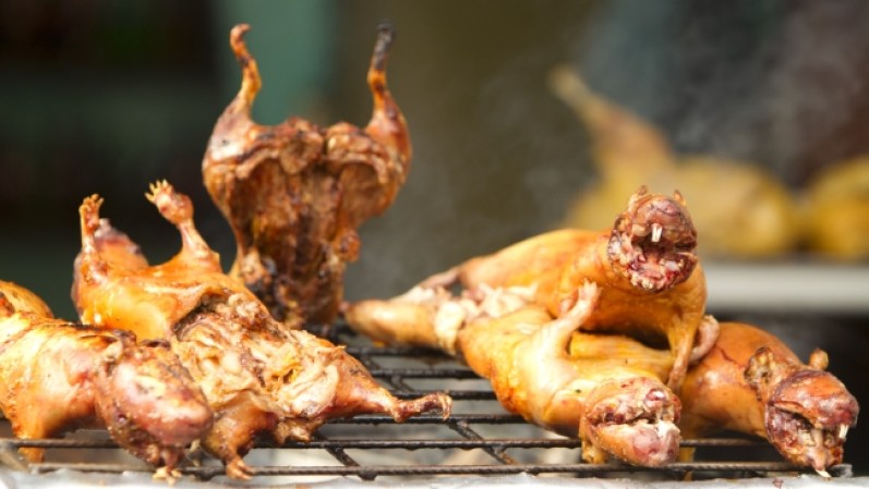 Cuis a la brasa. Este roedor sudamericano es considerado un manjar en las parrillas de Ecuador. Dicen los especialistas que hay que hacerlo hasta que quede crocante por fuera y jugoso por dentro.