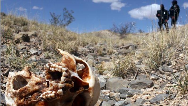 Organizaciones de Derechos Humanos han denunciado que en las cifras de las muertes no se toma en cuenta el número de personas desaparecidas de las cuáles no se han encontrado o identificado sus restos.
