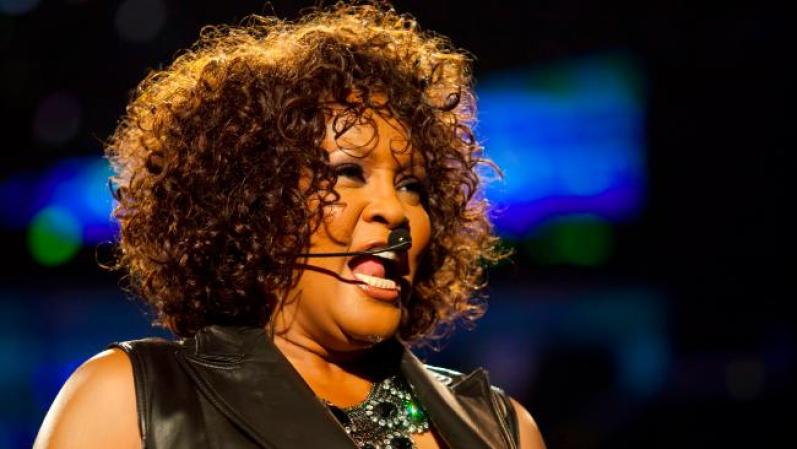 Aunque principalmente se le conoce como cantante, también destacó como actriz, compositora, productora, empresaria y modelo.