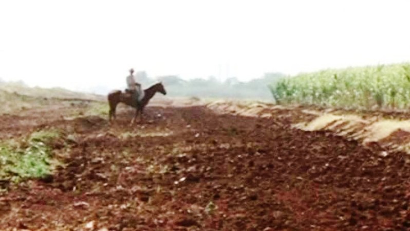 La entrega de tierras ociosas o usufructo también fue una medida dentro del nuevo modelo económico cubano.