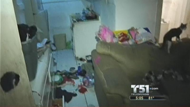 Así lucía el interior del departamente donde vivían.