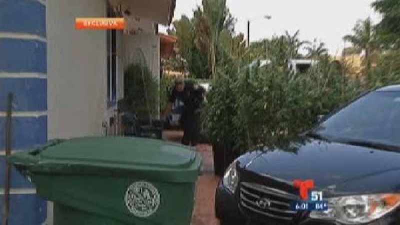Encuentran casa sembrada de marihuana en Hialeah Gardens.