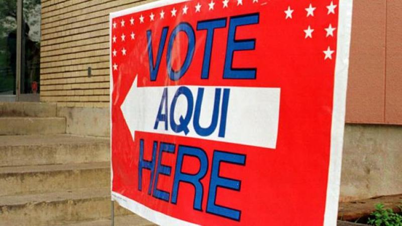 Purga de votantes