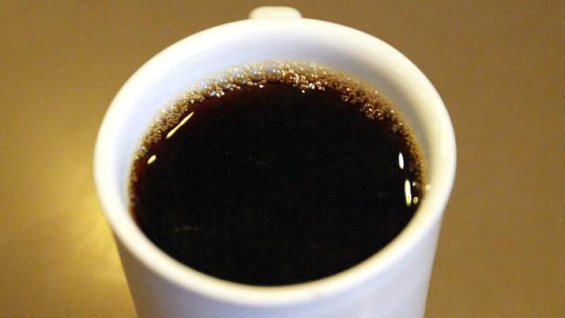 Cafeína impacta hormonas reproductivas