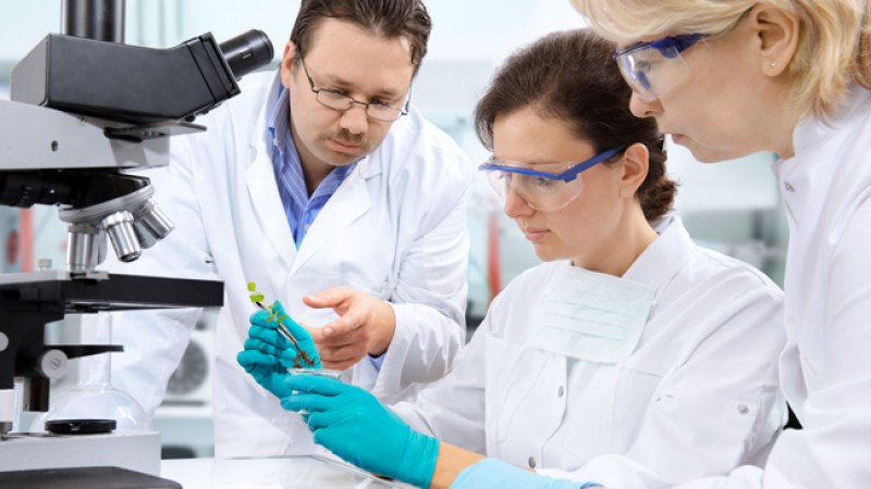 ¿Curar el SIDA con trasplante de médula?