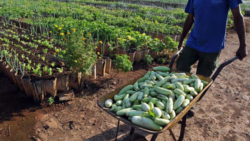 Cuba profundiza reforma