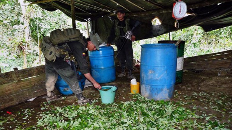Arrasan con gran laboratorio de coca