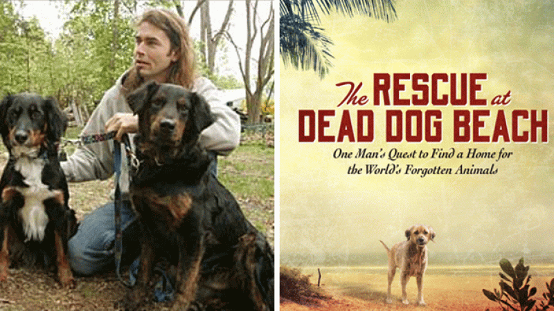 Tras sus experiencias rescatando satos en Puerto Rico, Stephen McGarva escribió el libro "The Rescue at Dead Dog Beach".