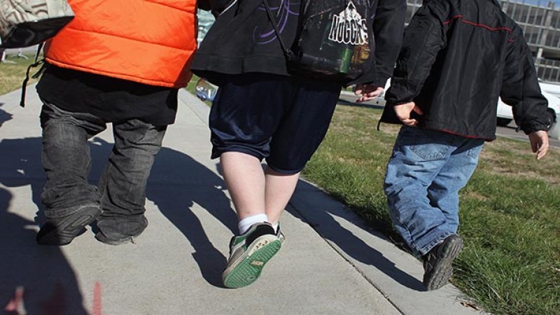 Contra la obesidad hormona que beneficia el ejercicio