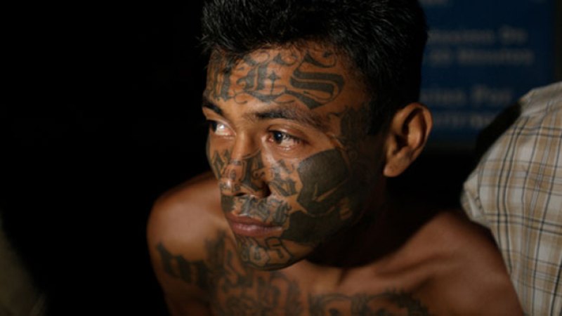 Golpe a la Mara Salvatrucha