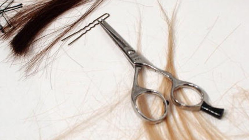 Ladrones de pelo