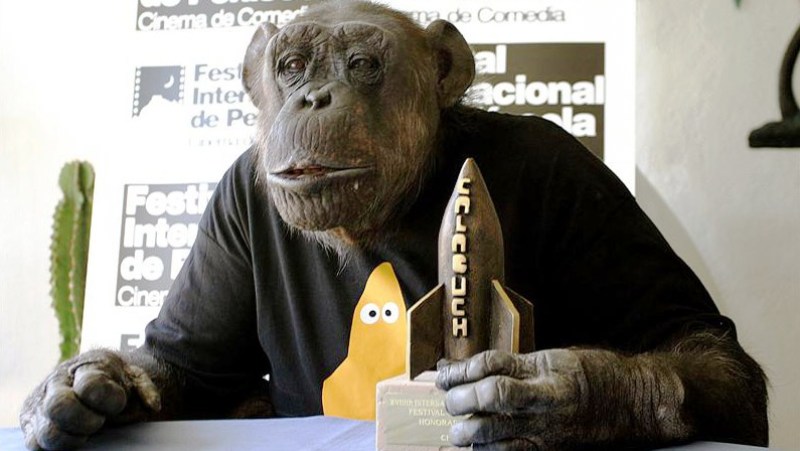 En 2006, Chita recibió un homenaje y el premio Calabuch por sus méritos artísticos en el Festival Internacional de Cine de Comedia de Peñíscola.