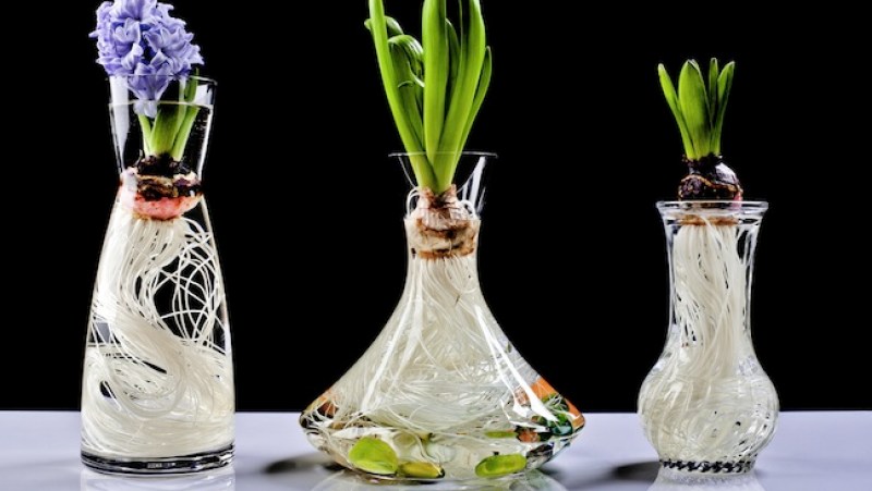 Guardar frascos de todo tipo en lugar de comprar floreros puede resultar un buen accesorio de decoración, y muy amigable con el medio ambiente.