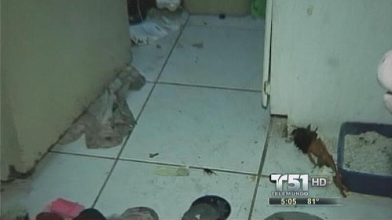 Los vecinos aseguraron que los niños eran víctimas de un abuso permanente.