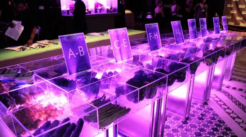 MARTES 24 DE ABRIL: La organización City Harvest, que lucha contra el hambre en Nueva York, celebró una glamurosa subasta para recaudar fondos con el nombre “An Evening Of Practical Magic”.