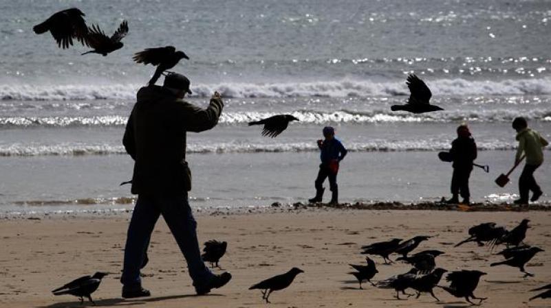 MIERCOLES 18 DE ABRIL: Un hombre camina frente a la bahía de Weymouth, en la costa sur de Inglaterra, donde serán las Olimpiadas de Londres este verano.