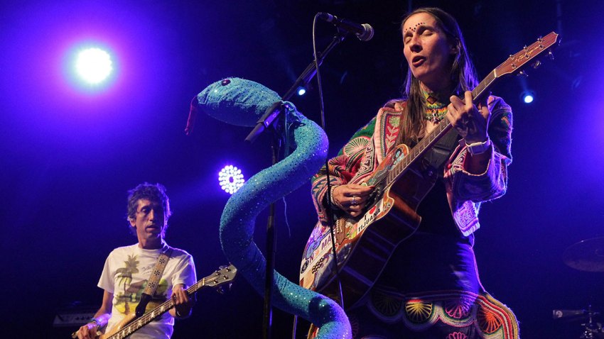 Aterciopelados2