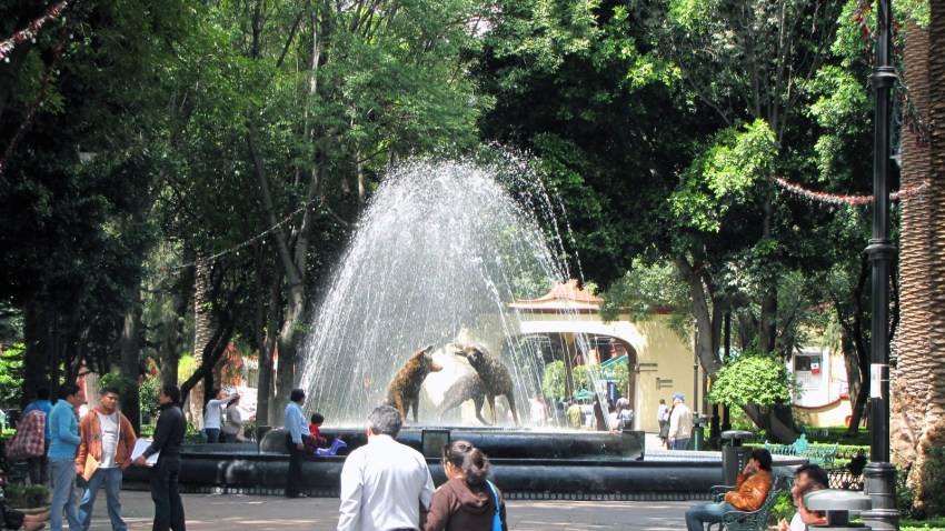 COYOACAN