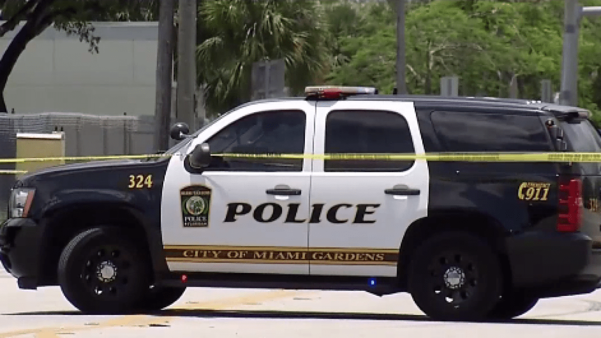 Pedestrian dies after being hit by car in Miami Gardens