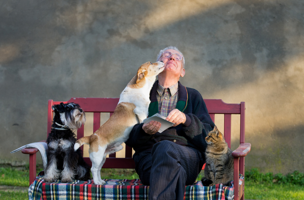 11 de las mejores razas de perros para personas de la tercera edad