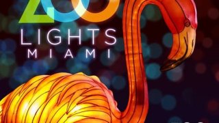 Zoo Lights Miami