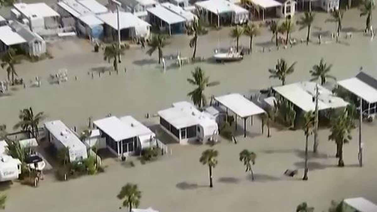 EN VIVO Noticiero 51 Telemundo Miami (51)