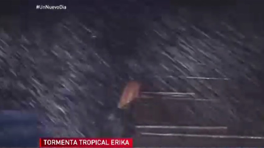 erika-azota-puerto-rico