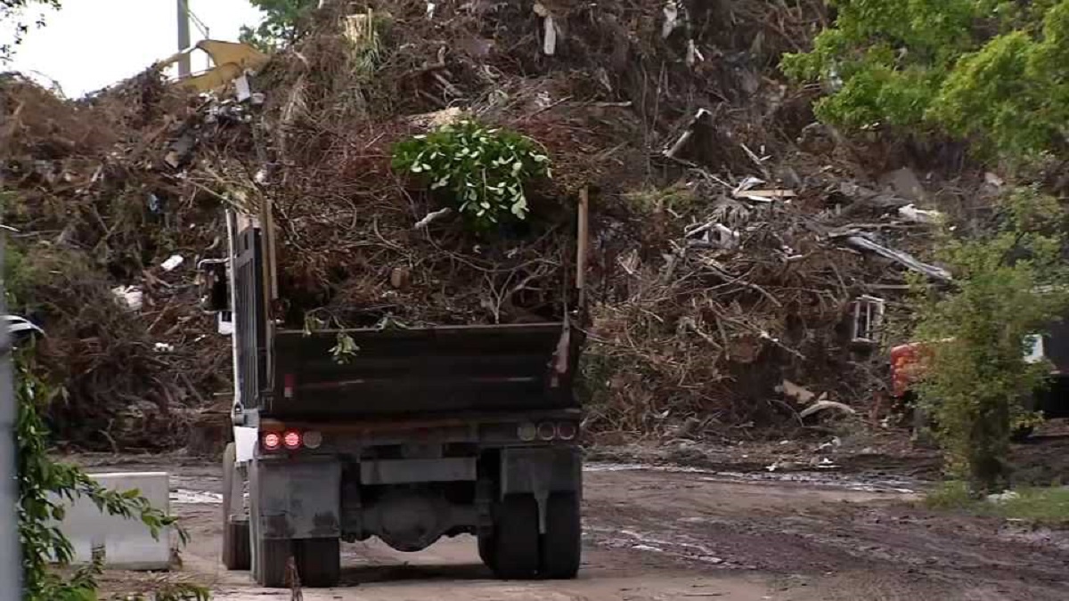 Workers Waited Months to Get Paid for Hurricane Irma Cleanup – Telemundo Miami (51)
